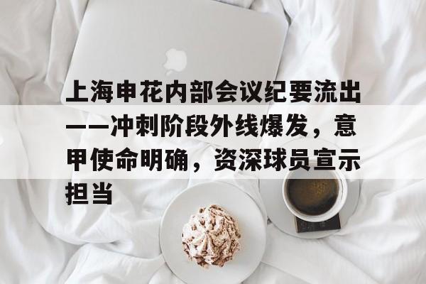 上海申花内部会议纪要流出——冲刺阶段外线爆发，意甲使命明确，资深球员宣示担当的简单介绍-爱游戏导航中心